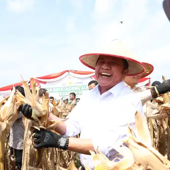 Panen Raya Jagung 8 Ton/Hektar: Sinergi Polda Sumsel dan Petani Menjawab Tantangan Ketahanan Pangan Nasional
