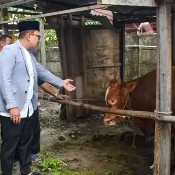Momen Hari Raya Idul Adha, Bupati Sujiwo Serahkan Kurban Untuk Masyarakat Dan Pegawai Honorer Kubu Raya