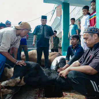 Pemkot Bandung Kawal Ketat Penyembelihan Hewan Kurban hingga Hari Tasyrik Usai