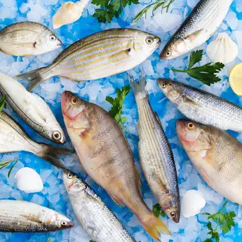 Arti Mimpi Tentang Ikan Pada Wanita yang Sedang Hamil, Pertanda Apa