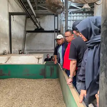Kopi Sumsel Siap Tembus Pasar Ekspor, Pabrik Kopi di Lahat Dipantau Demi Standar Mutu Global