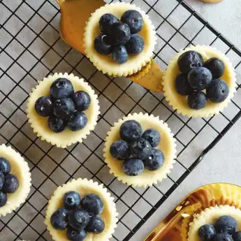Resep Mini Baked Cheese Cake yang Gurih, Enak, dan Mudah Diikuti