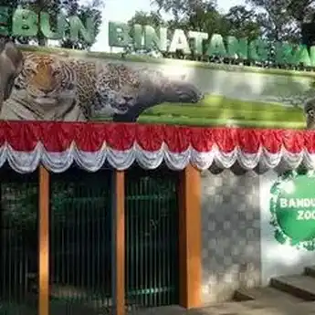 Pemkot Bandung Data Ulang Pelaku Usaha yang Ada di Kebun Binatang Bandung   