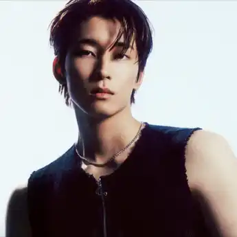 Lirik Lagu 'GOGAE' – Wonwoo SEVENTEEN, Lengkap dengan Terjemahannya