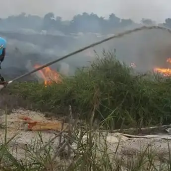 Deteksi Dini Karhutla, Pemprov Kalsel Berdayakan Masyarakat Peduli Api