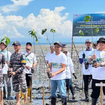 PLN UP3 Tolitoli Kolaborasi Tanam 5.000 Pohon Mangrove untuk Lindungi Pesisir dari Abrasi