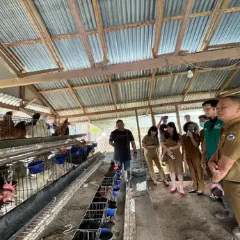 PLN UP3 Manado Dukung Ketahanan Pangan Melalui Pelatihan Budidaya Ayam dan Pengolahan Limbah Ayam Buras
