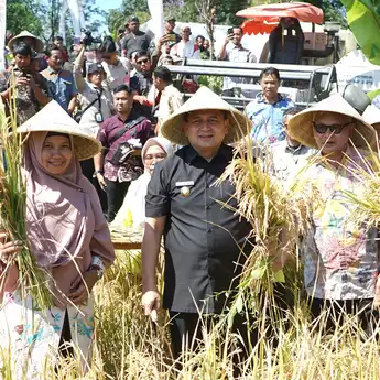 Wali Kota Makassar Ajak Warga Manfaatkan Lahan Sempit untuk Pertanian