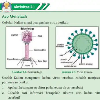 Kunci Jawaban IPA Kelas 10 Halaman 35 tentang Virus dan Peranannya