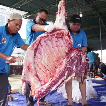 Kilang Plaju Tebar Kepedulian Iduladha 1447 H, Salurkan Lebih dari 5 Ribu Kantong Daging Qurban untuk Masyarakat