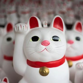 Ramalan Shio 2 Oktober 2019: Shio Tikus, Ini Hari Keberuntunganmu!
