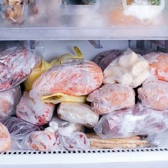Cara Pengemasan Frozen Food Yang Baik Agar Kondisi Makanan  Terjaga