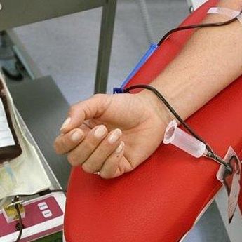 Dukung Kebutuhan Stok Darah di Bangka, Pemdes Dalil Gelar Donor Darah Bersama