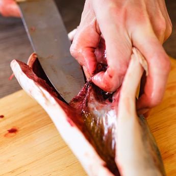 4  Cara Membersihkan Ikan Segar Agar lebih Mudah Sebelum Dimasak