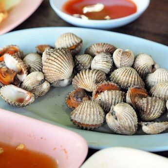 Cara Membuat Tumis Tudai, Olahan Kerang Dara Khas Kalimantan Utara