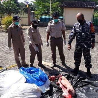 Tim Gabungan Amankan Truk Bermuatan 300 Kg Daging Babi di Muntok