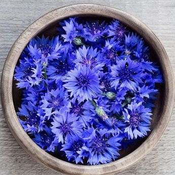 4 Bahan Makanan Alami Sumber Pewarna Biru Yang Bisa Digunakan 