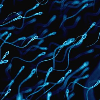 Mengeluarkan Sperma Tiap Hari, Apakah Sehat? Begini Penjelasannya