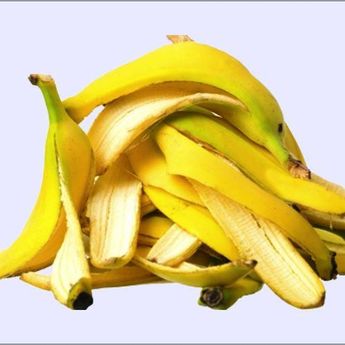 Mitos Atau Fakta, Kulit Pisang Bisa Buat Tanaman Hias Tumbuh Subur ?