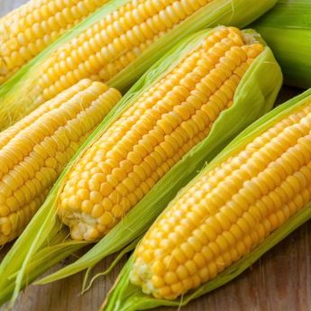 Agar Tak Kering Dan Tetap Manis, Berikut 3 Cara Tepat Menyimpan Jagung