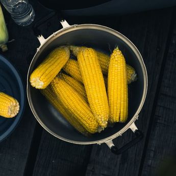 3 Cara Melepas Biji Jagung Dari Tongkolnya Tanpa Alat khusus