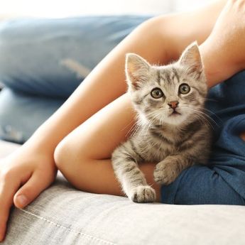 Anak Autisme Disarankan Untuk Memelihara Kucing. Apa Alasannya ?