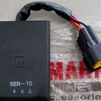 Apa Penyebab CDI Sepeda Motor Bisa Bermasalah  