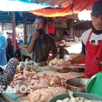 Disperindag Pangkalpinang Ungkap Dua Faktor Penyebab Naiknya Harga Ayam