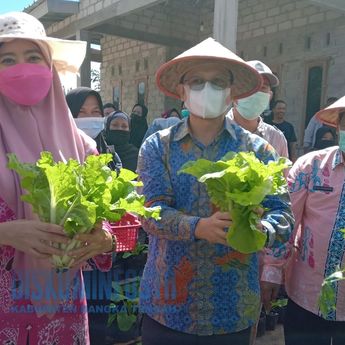 Pemkab Bateng Luncurkan Gerakan Lorong Hijau