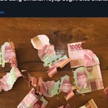 Viral Uang Kertas Rusak Dimakan Rayap, Boleh Dituker Nggak Sih? Ini Penjelasan Bank Indonesia