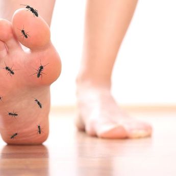 Ketika Bangun Tidur Langsung Kesemutan, Tanda  Penyakit Apa ? Ini Penjelasannya