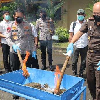 Musnahkan Ganja 5.318,47 gram, Kapolda Bali Pimpin Gelar Pemusnahan Barang Bukti 