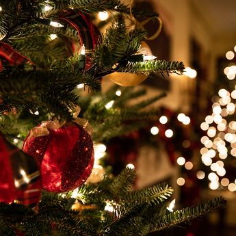 6 Tips Penempatan Pohon Natal Menurut Feng Shui, Tarik Chi Menguntungkan