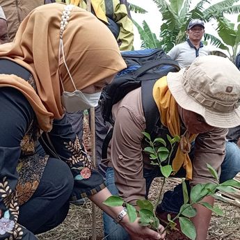 Bersama Pemprov Jabar, Bank Indonesia Kembangkan Agroforesti