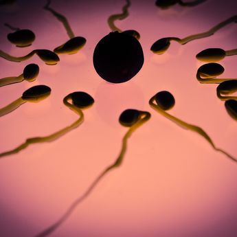 6 Makanan yang Bisa Membuat Sperma Banyak dan Kental, Sudah Coba?
