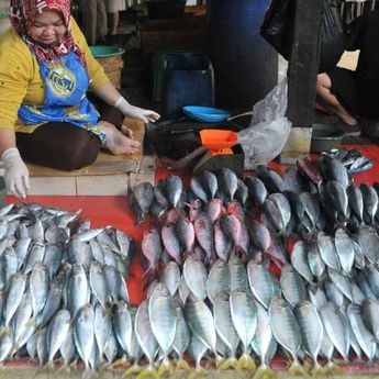 Harga Ikan Segar Melambung, Anggota Dewan Ini Harap Pemerintah Berikan Solusi 