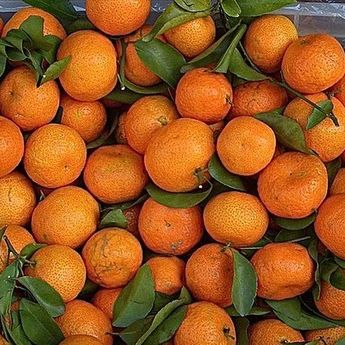 8 Kuliner Khas Hari Raya Imlek dan Makna-makna di Baliknya  