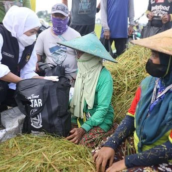 Panen Raya di Tuban, Jatim Jadi Produsen Padi Terbesar di Indonesia