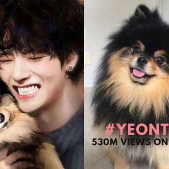 Yeontan Sukses Menjadi Hewan Peliharaan Paling Terkenal Seantero Dunia