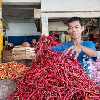 Harga Cabai Rawit Melonjak, Distributor Ungkap Stok Aman, Diduga Karena Cuaca Buruk 