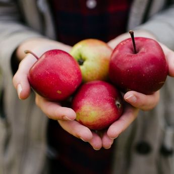 10 Buah yang Membawa Keberuntungan Berdasarkan Feng Shui  