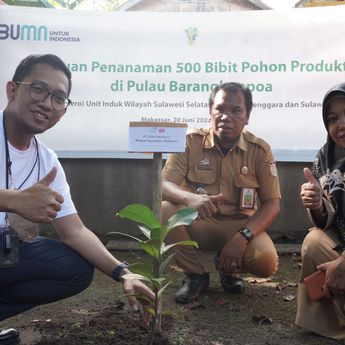 PLN Hijaukan Pulau Barrang Lompo, 500 Pohon Produktif Ditanam