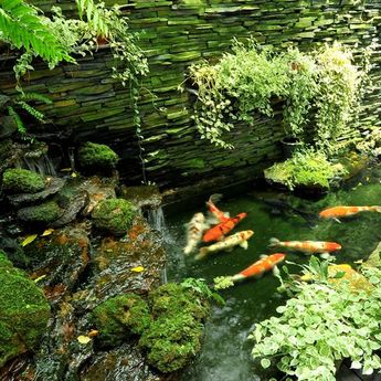 Cara Membuat Taman Feng Shui Pada Rumah  
