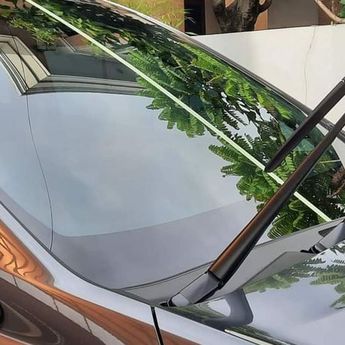4 Cara Gampang Cegah Serangan Jamur Pada Kaca Mobil  