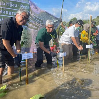 Bupati Apresiasi Aksi Taman 32 ribu Mangroove di Kabupaten Pangkep
