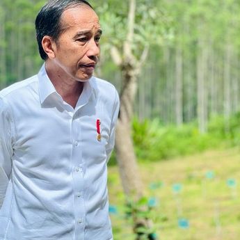 Jokowi Terbitkan Perpres Cadangan Pangan, Ini Isinya