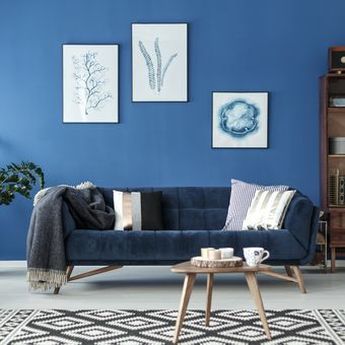 4 Warna yang Dapat Membawa Kekayaan ke Rumah Berdasarkan Feng Shui  