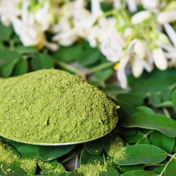 Ternyata Daun Kelor Punya Manfaat untuk Menurunkan Berat Badan