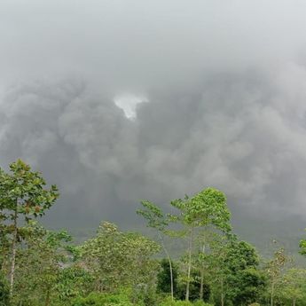 Sebanyak 1.979 Jiwa Mengungsi Setelah APG dan Peningkatan Aktivitas Vulkanik Gunungapi Semeru