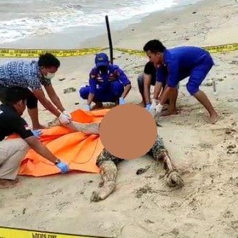 Mayat Pria Ditemukan di Pantai Tembelok Bangka Barat Hingga Tak Dikenali, Wajah Menyisakan Tengkorak   